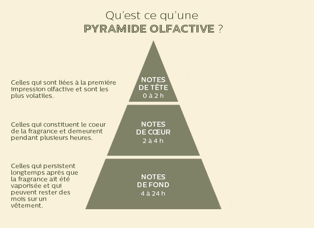 pyramide olfactive