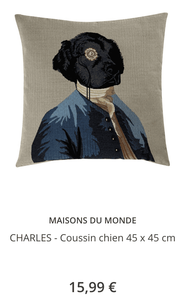 coussin