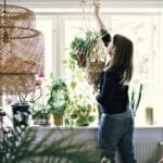 comment-accrocher-une-plante-suspendue_1_1024x1024