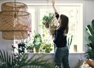 Des plantes suspendues pour un look tropical et intérieur tout en fraîcheur