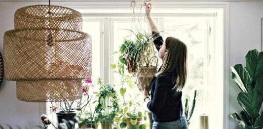 Des plantes suspendues pour un look tropical et intérieur tout en fraîcheur
