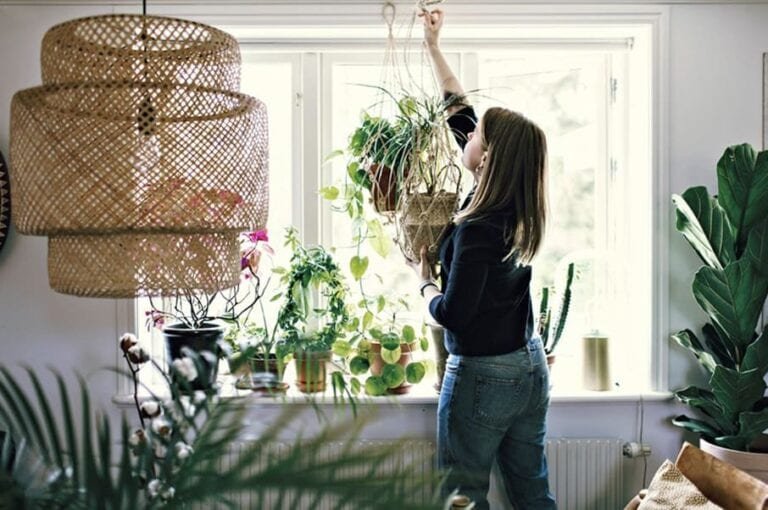 comment-accrocher-une-plante-suspendue_1_1024x1024